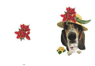 Hound Dog with Hat on - 7 x 10 scored for folding to 7 x 5, 25 cards w/A7 envelopes per set