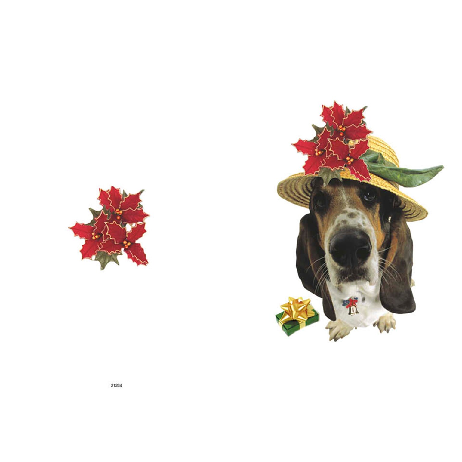 Hound Dog with Hat on - 7 x 10 scored for folding to 7 x 5, 25 cards w/A7 envelopes per set