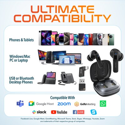 Delton T50 True Wireless Noise Canceling Bluetooth Computer Earbud Headset, Black (DBHT50)