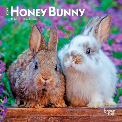 2027 BrownTrout Honey Bunny 7 x 7 Monthly Wall Calendar (9798330709809)