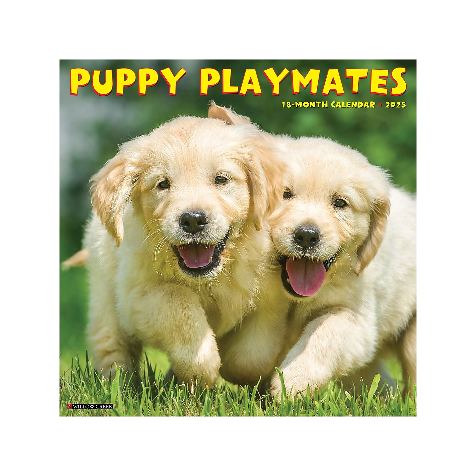 2025 Willow Creek Puppy Playmates 12 x 12 Monthly Wall Calendar (44605)
