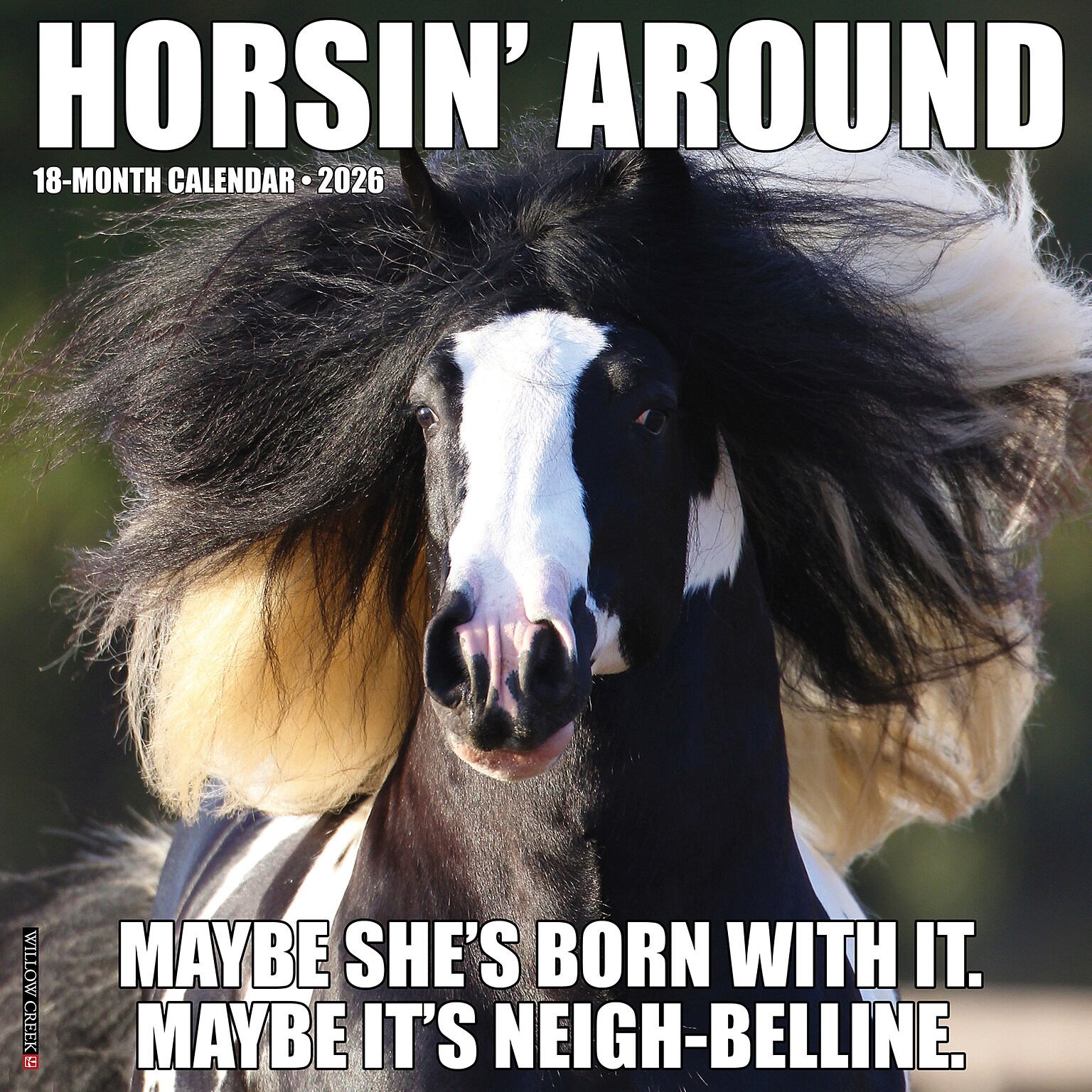 2026 Willow Creek Horsin’ Around 12 x 12 Monthly Wall Calendar (51511)