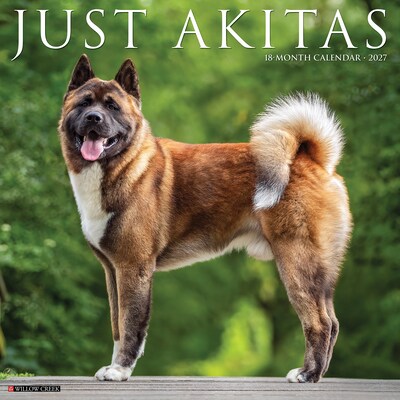 2027 Willow Creek Akitas 12 x 12 Monthly Wall Calendar, Assorted Colors (58664)