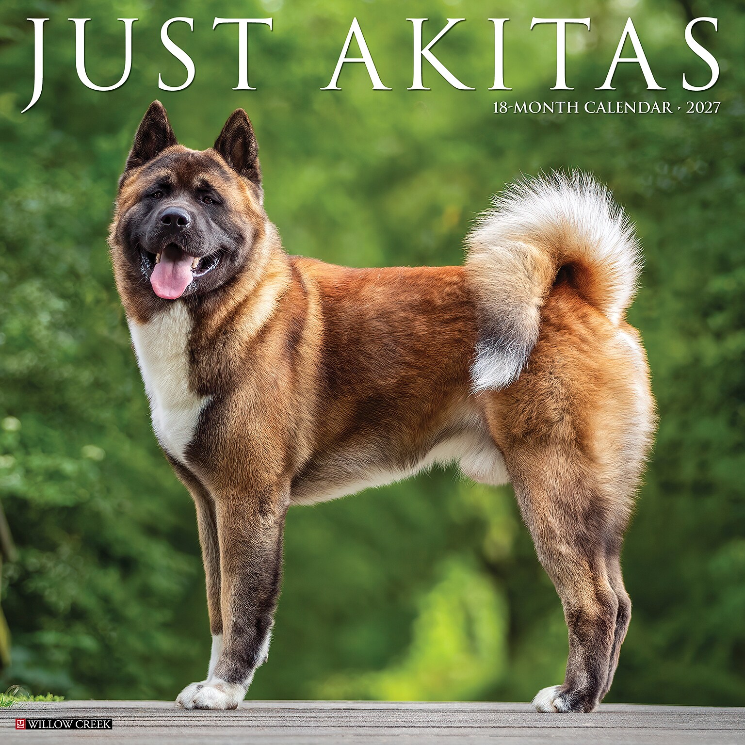2027 Willow Creek Akitas 12 x 12 Monthly Wall Calendar, Assorted Colors (58664)