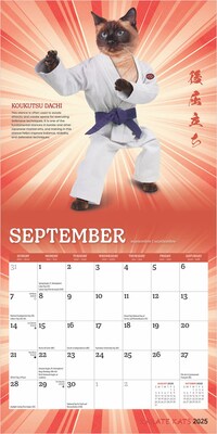 2025 BrownTrout Karate Cats 7" x 14" Monthly Mini Wall Calendar, (9781975479541)