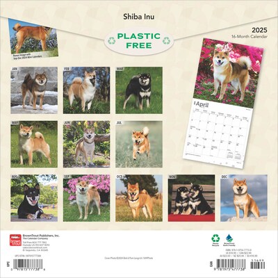 2025 BrownTrout Shiba Inu 12" x 24" Monthly Square Wall Calendar, (9781975477738)