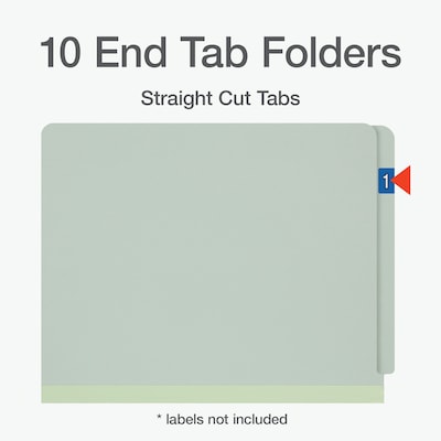 Pendaflex Classification Folder, 3-Dividers, Letter Size, Light green, 10/Box (1007139)