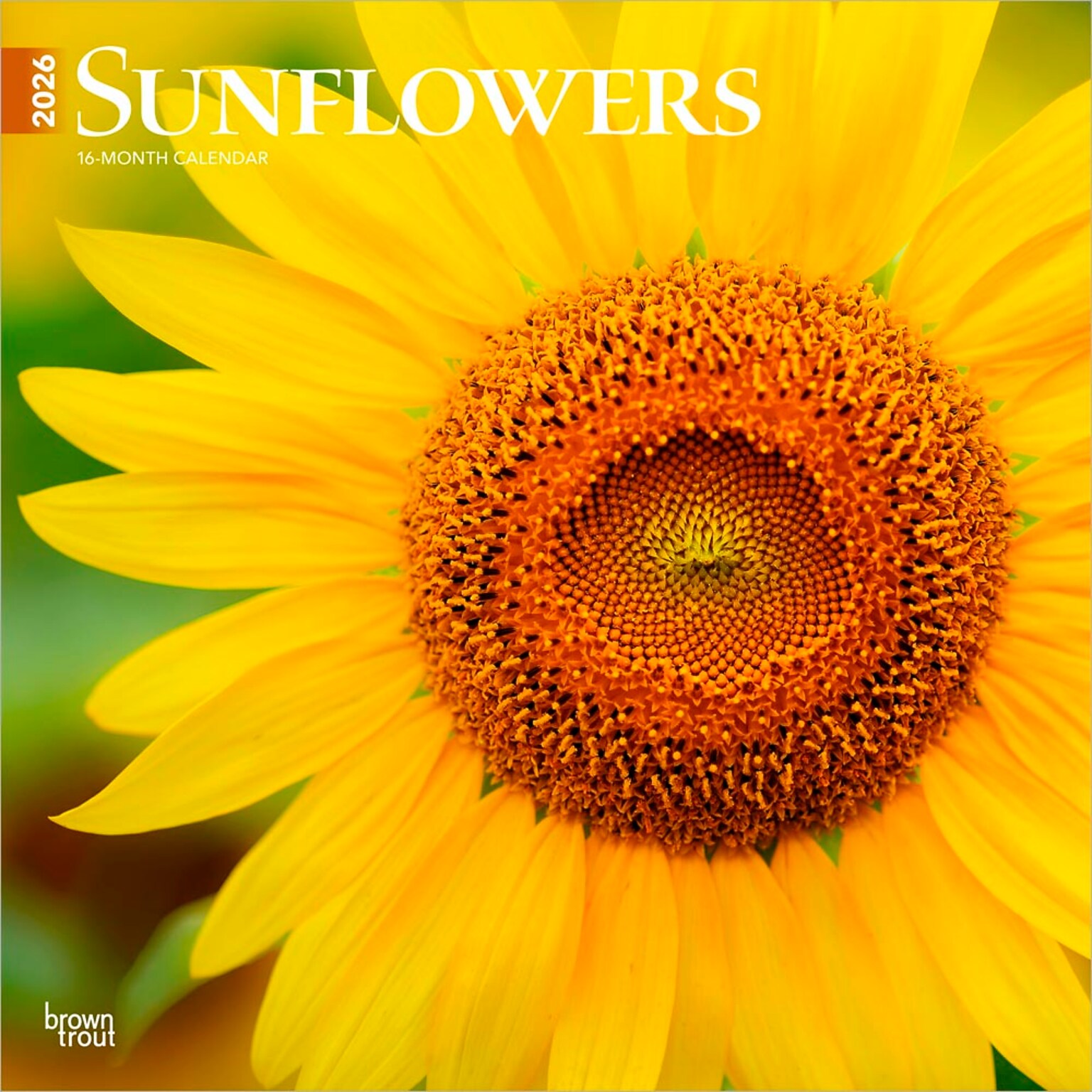 2026 BrownTrout Sunflowers 12 x 12 Monthly Wall Calendar (9798330705696)