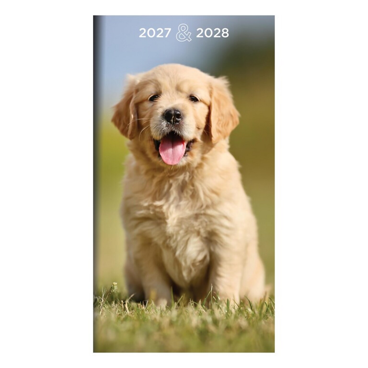 2027 TF Publishing Dogs 3.5 x 6.5  Monthly Standard Planner, Paperboard Cover, Multicolored (27-7016)