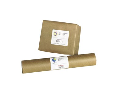Avery Repositionable Laser Shipping Labels, 3-1/3" x 4", White, 600 Labels/Box (55164)