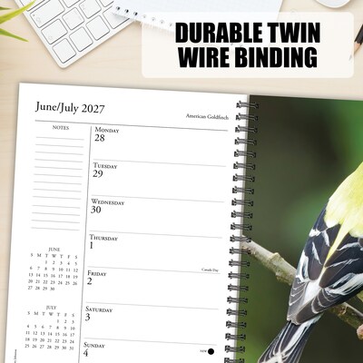 2027 Willow Creek Backyard Birds 6.5" x 8.5" Weekly & Monthly Desk Calendar (64337)