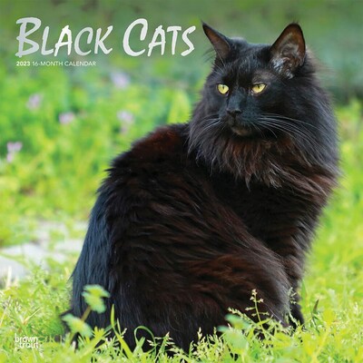 2023 BrownTrout Black Cats 12 x 24 Monthly Wall Calendar, (9781975448936)