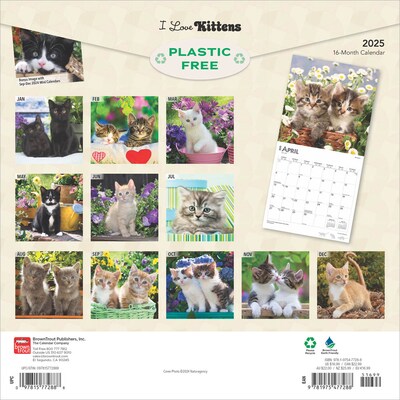 2025 BrownTrout I Love Kittens 12 x 12 Monthly  Wall Calendar (9781975477288)