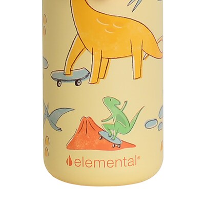 Elemental Core Pop Stainless Steel Double Wall Insulated Water Bottle, 18 oz., Skater Dinos (EBC18SD30P)