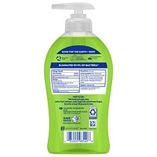 Softsoap Antibacterial Liquid Hand Soap, Sparkling Pear, 11.25 Oz. (US07326A)