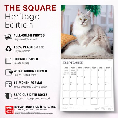 2027 BrownTrout Maine Coon Cats 12" x 12" Monthly Wall Calendar (9798330711819)