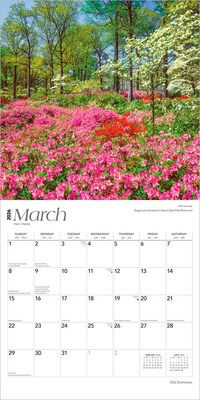 2026 BrownTrout Old Dominion Virginia Places 12" x 12" Monthly Wall Calendar (9798330704972)