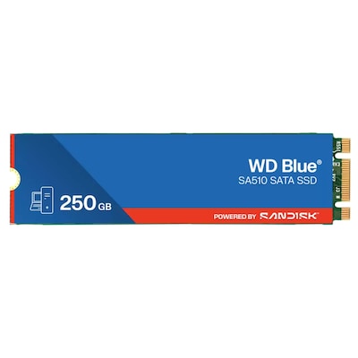 Western Digital Blue SA510 250GB M.2 2280 SATA III Solid State Drive, 3D NAND (WDS250G3B0B-00AXS0)