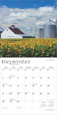 2025 BrownTrout Land of 10000 Lakes Minnesota Places 12" x 24" Monthly Square Wall Calendar (9781975483005)