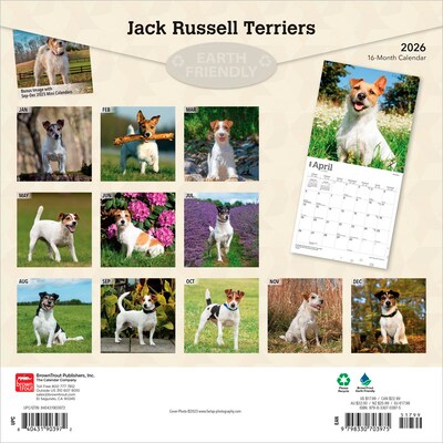 2026 BrownTrout Jack Russell Terriers 12 x 12 Monthly Wall Calendar (9798330703975)