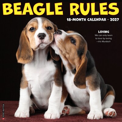2027 Willow Creek Beagle Rules 12 x 12 Monthly Wall Calendar, Assorted Colors (59098)