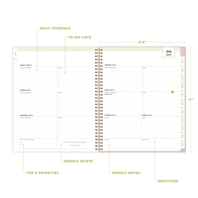 2025-2026 Blue Sky Secret Garden 8.5" x 11" Academic Year Weekly & Monthly Planner, Plastic Cover, Multicolored (155447)