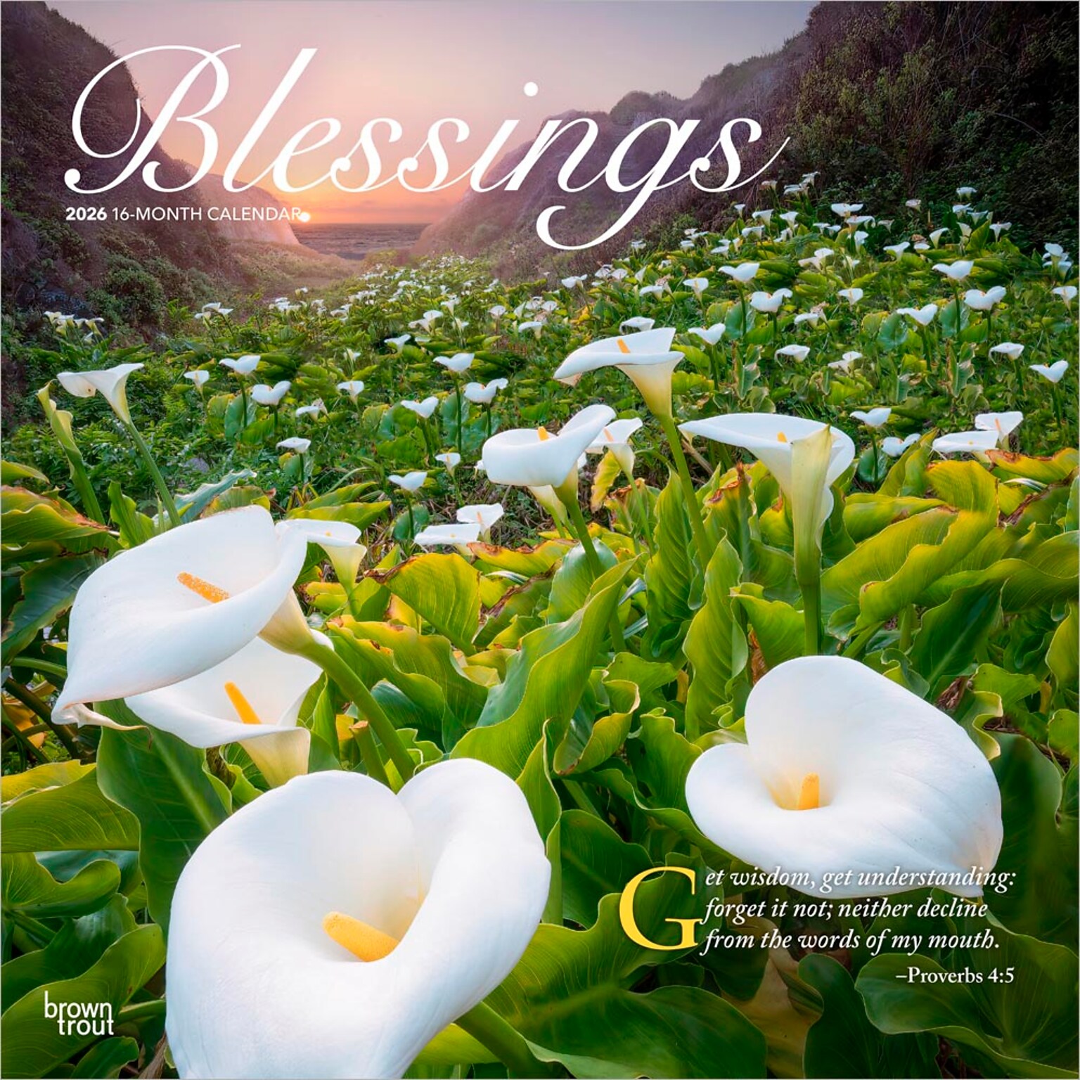 2026 BrownTrout Blessings 12 x 12 Monthly Wall Calendar (9798330702497)