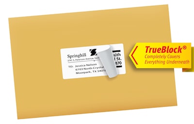 Avery TrueBlock Inkjet Shipping Labels, 2" x 4", White, 250 Labels/Pack (8163)