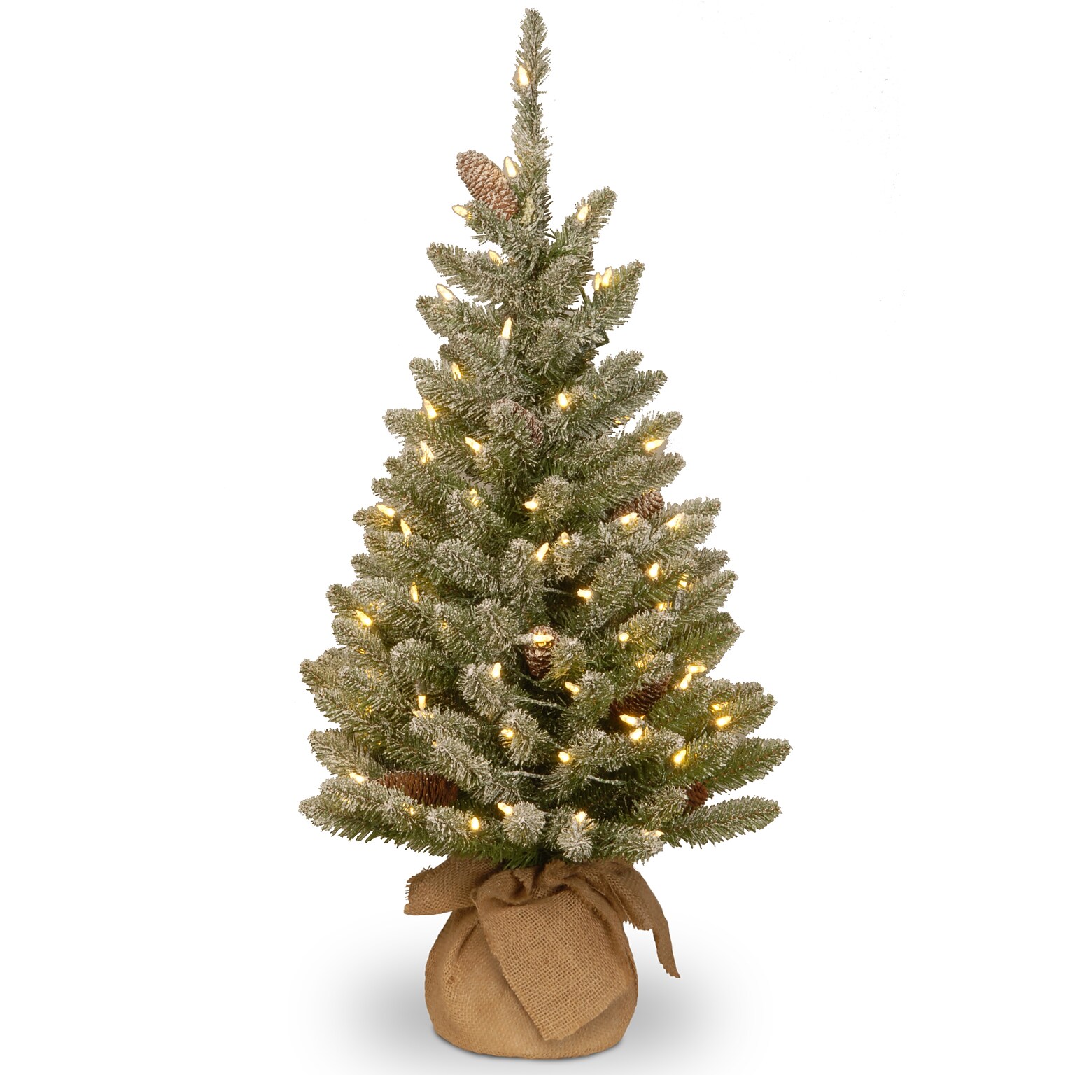 National Tree Company 3 Snowy Concolor Fir Tree with LED Lights (SR1-328-30-B1)