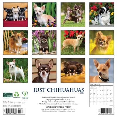 2026 Willow Creek Chihuahuas 12 x 12 Monthly Wall Calendar (50699)