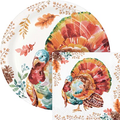 Say Hooray! Tasteful Turkey Paper Plates and Napkins Kit, Multicolored, 48/Pack (DTC9386E2G)