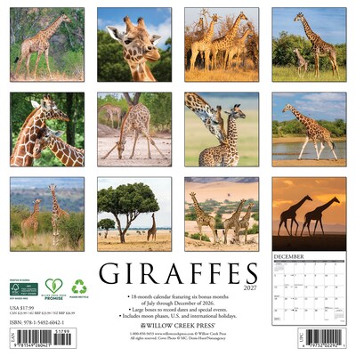 2027 Willow Creek Giraffes 12 x 12 Monthly Wall Calendar (60421)