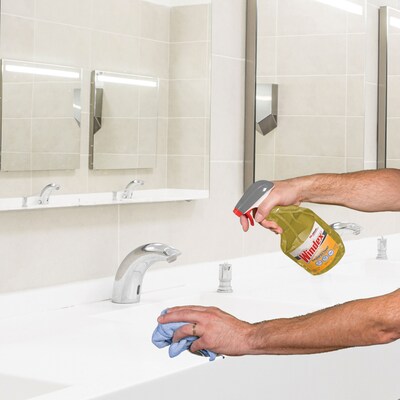 SC Johnson Windex Disinfecting Multi-Surface Sanitizer Cleaner, Citrus Scent, 32 Oz. (322369)