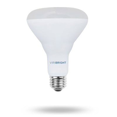 Viribright 8.5 Watts Daylight LED Floodlight Bulb, 8/Box (654697-8)