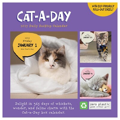 2027 TF Publishing Cat A Day 5.25" x 5.25" Daily Day-to-Day Calendar, Multicolored (27-3002)