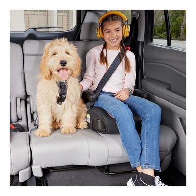 Graco TurboBooster 2.0 Backless Booster, Trisha (2184591)