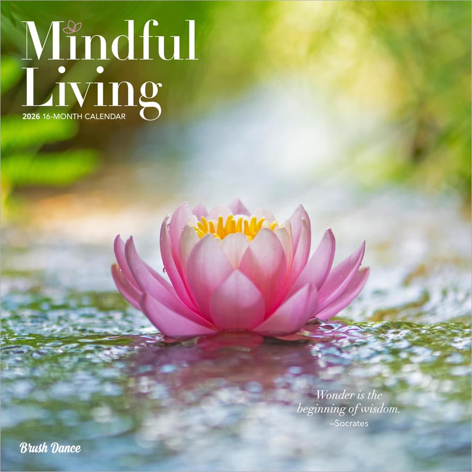 2026 Brush Dance Mindful Living 12 x 12 Monthly Wall Calendar (9798330706549)