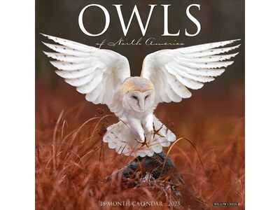 2023 Willow Creek Owls 12 x 12 Monthly Wall Calendar (27110)