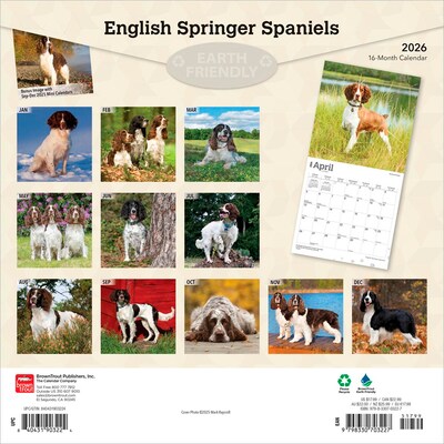 2026 BrownTrout English Springer Spaniels 12 x 12 Monthly Wall Calendar (9798330703227)