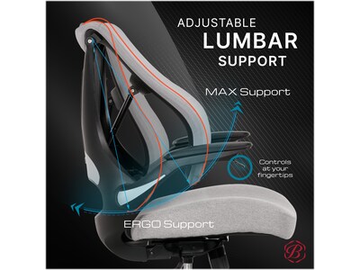 Beautyrest ErgoMax Ergonomic Mesh/Fabric Swivel Task Chair, Gray (60078-Gry)