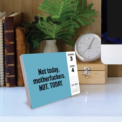 2026 Willow Creek No F*cks Given 6.2" x 5.4" Day-to-Day Calendar (54338)