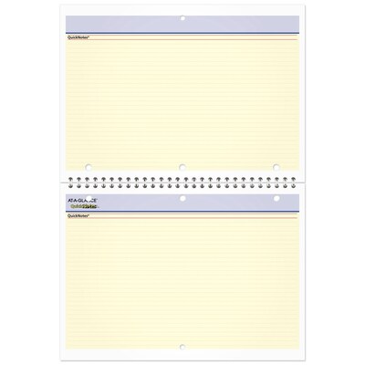 2027 AT-A-GLANCE QuickNotes 11" x 8" Monthly Wall Calendar (PM50-28-27)