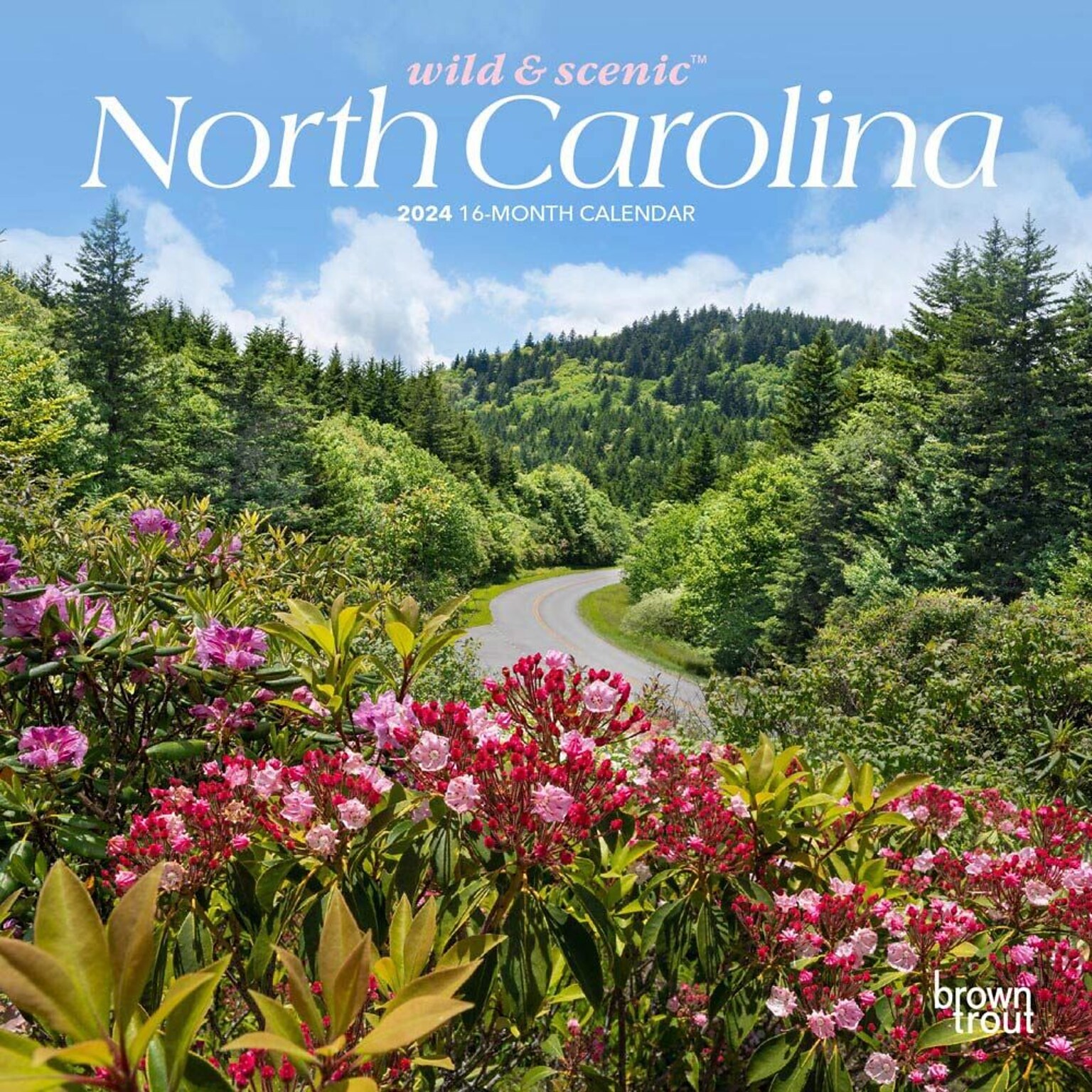 2024 BrownTrout North Carolina Wild & Scenic 7 x 14 Monthly Wall Calendar (9781975464301)
