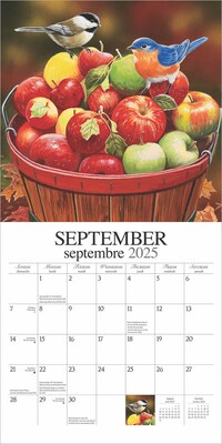 2025 Hopper Studios Feathered Friends Amis a Plumes 12" x 12" Monthly Wall Calendar (9781773728223)
