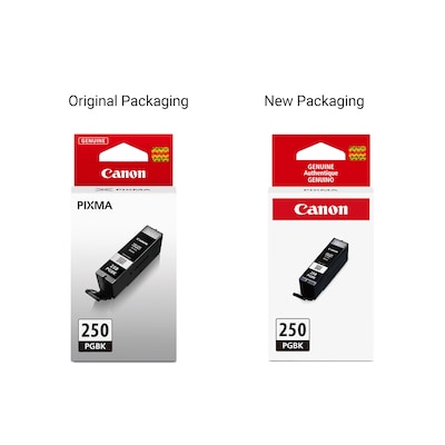 Canon 250 Black Standard Yield Ink Cartridge (6497B001)