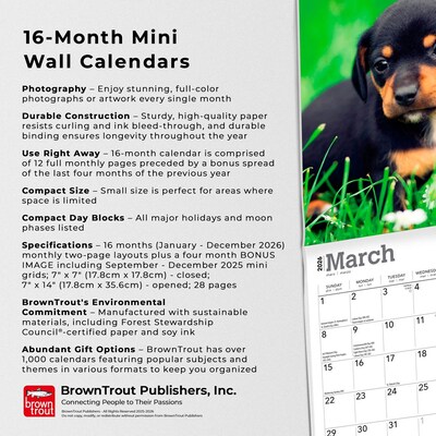 2026 BrownTrout Dachshund Puppies 7" x 7" Monthly Wall Calendar (9798330703081)