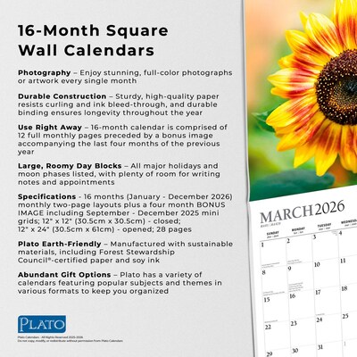2026 Plato Sunflowers 12" x 12" Monthly Wall Calendar (9798330706655)