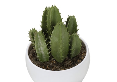 Monarch Specialties Inc. 6" Artificial Succulent Plant in Pot, 3/Set (I 9555)