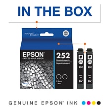 Epson T252 Black Standard Yield Ink Cartridge, 2/Pack