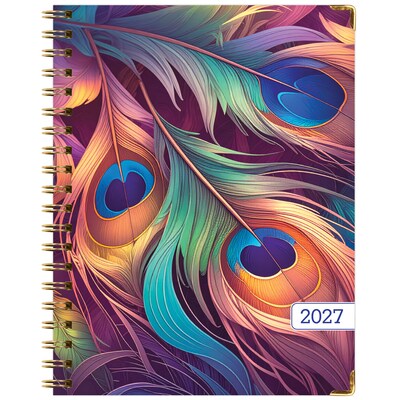 2027 Excello Brands 9" x 11" Weekly & Monthly Standard Planner, Paperboard Cover, Pastel Peacock (FSHN-CY27-8511-61)